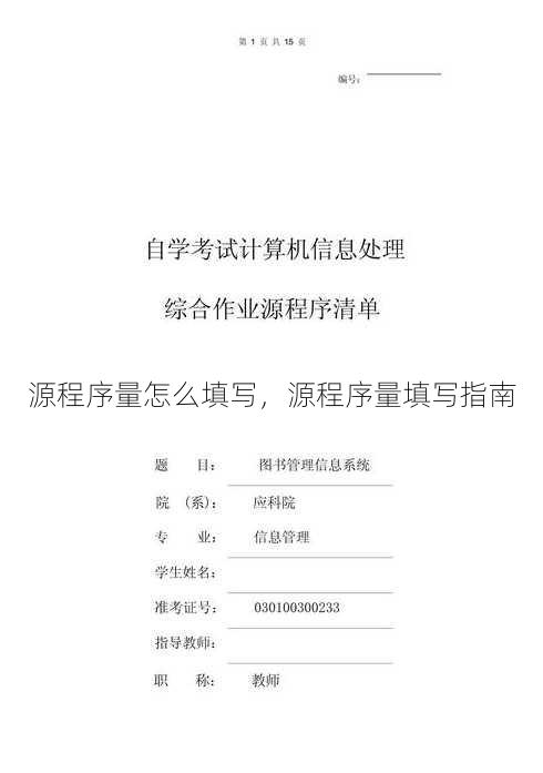 源程序量怎么填写