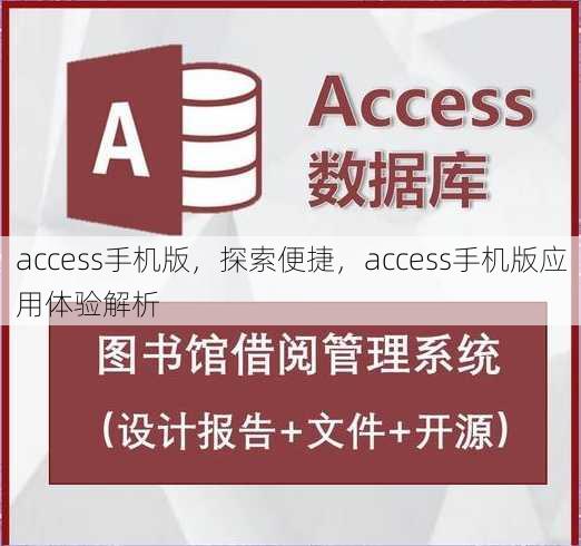 access手机版