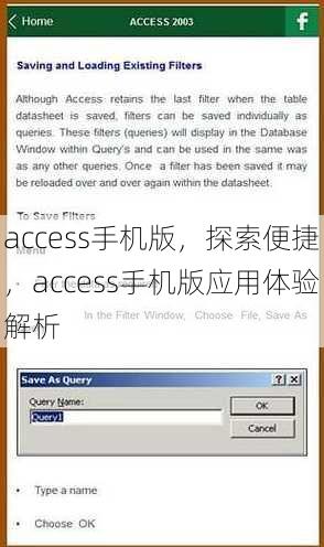 access手机版