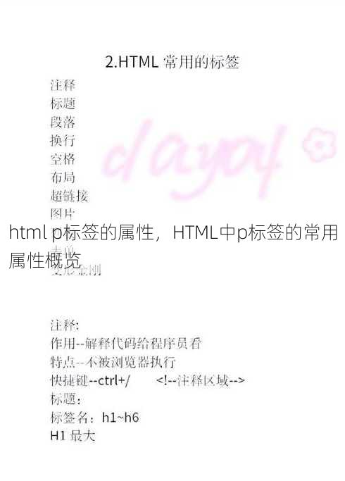 html p标签的属性，HTML中p标签的常用属性概览