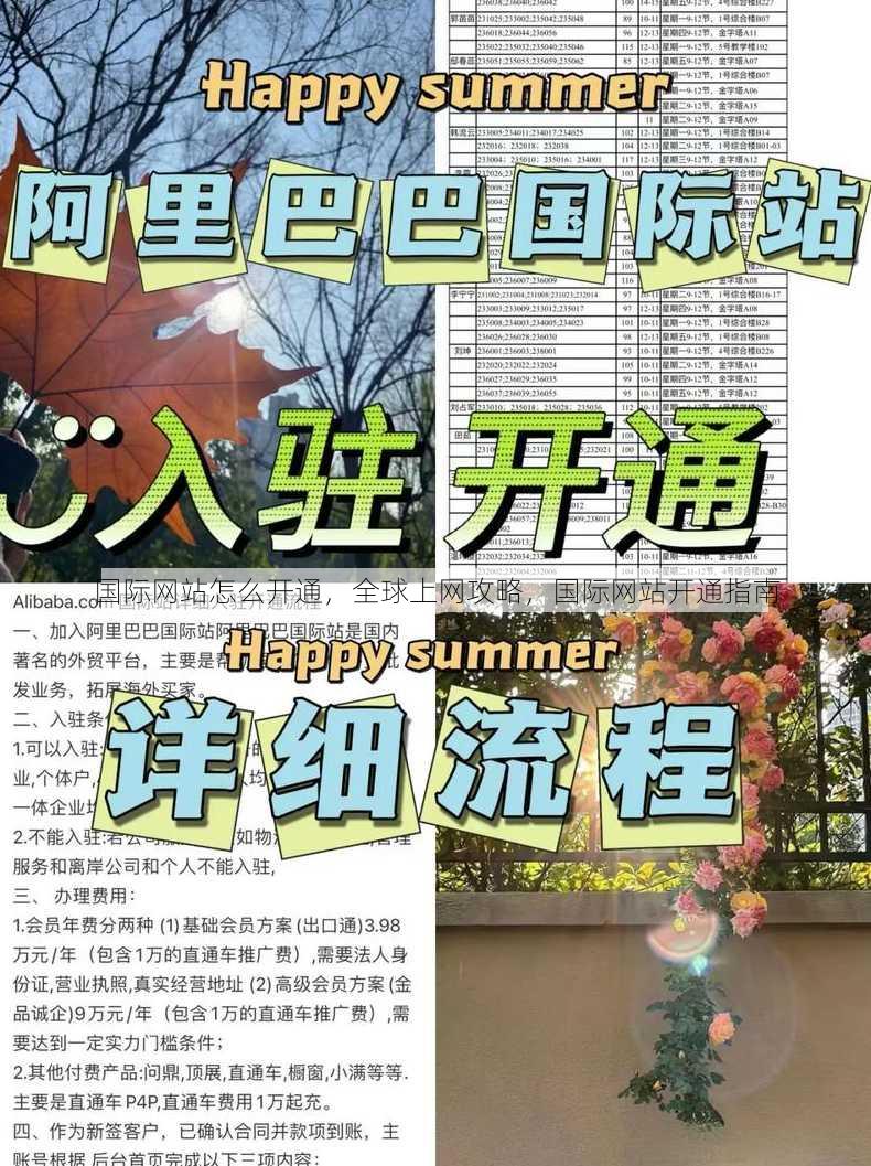 国际网站怎么开通