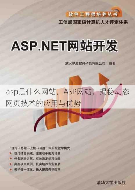 asp是什么网站