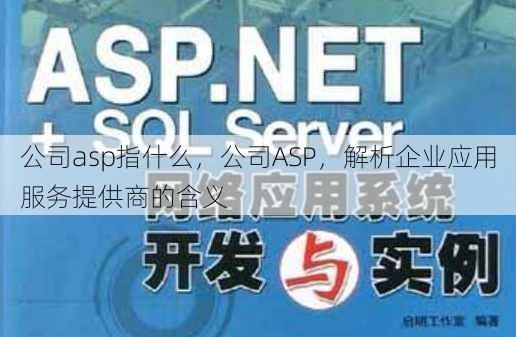 公司asp指什么