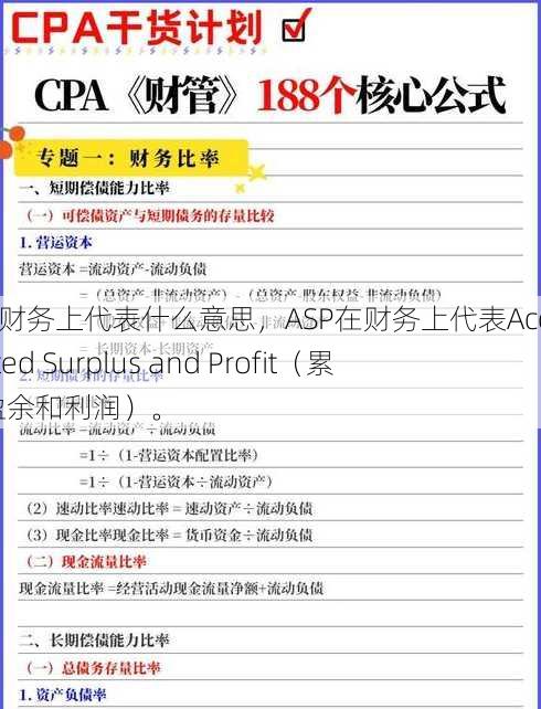 asp财务上代表什么意思