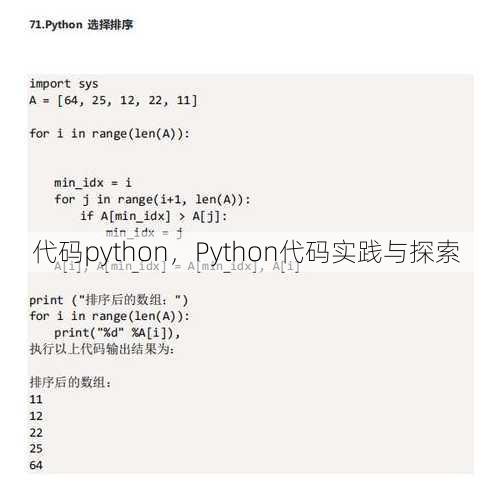 代码python
