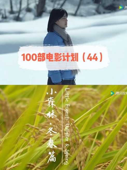 小森林冬春篇观后感（小森林之冬春）