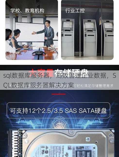 sql数据库服务器，高效管理企业数据，SQL数据库服务器解决方案