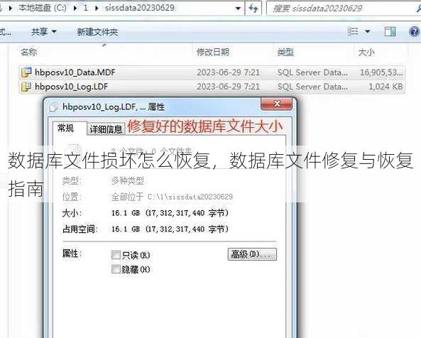 数据库文件损坏怎么恢复，数据库文件修复与恢复指南