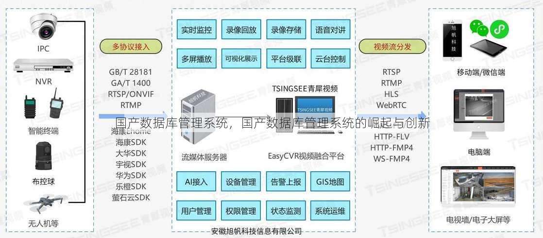 国产数据库管理系统，国产数据库管理系统的崛起与创新
