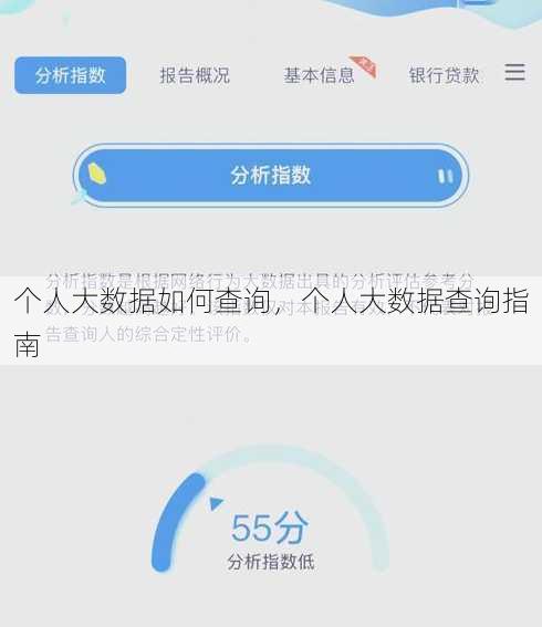 个人大数据如何查询