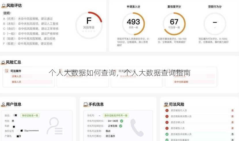 个人大数据如何查询，个人大数据查询指南