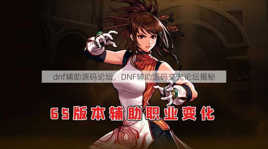 dnf辅助源码论坛