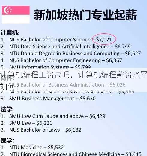 计算机编程工资高吗