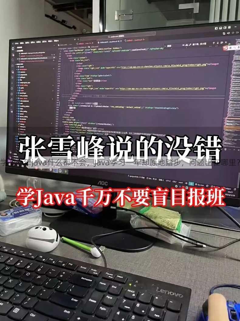 学了一年java什么都不会