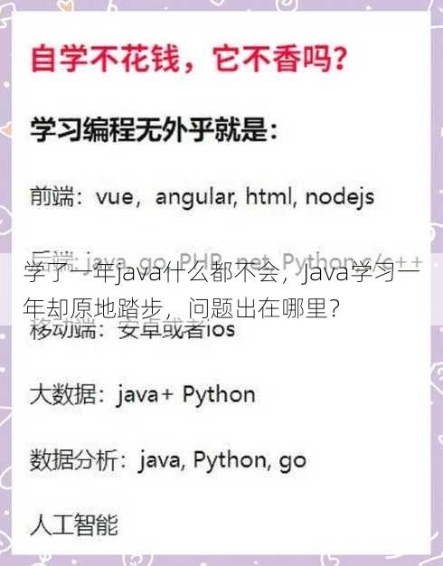 学了一年java什么都不会
