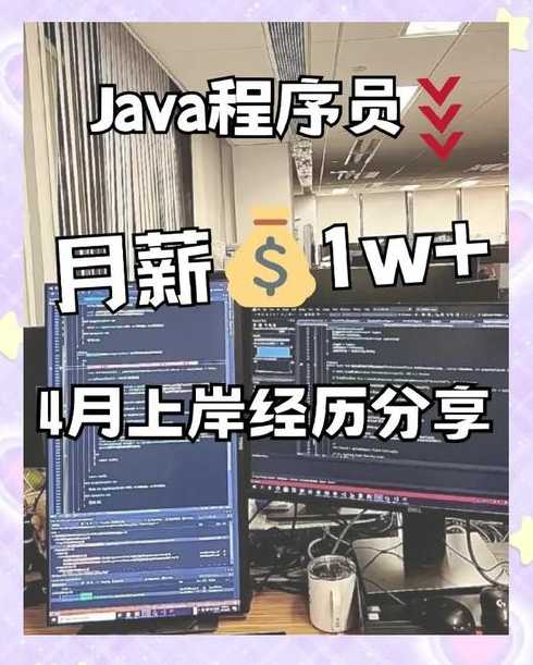 程序员零基础入门（程序员快速入门）