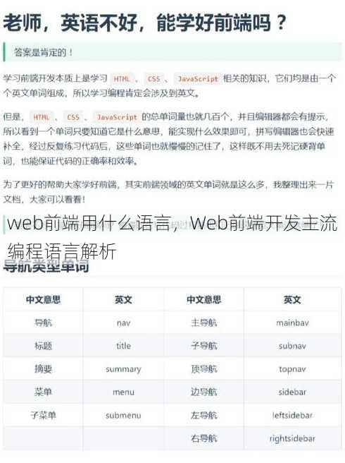 web前端用什么语言