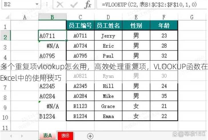 多个重复项vlookup怎么用