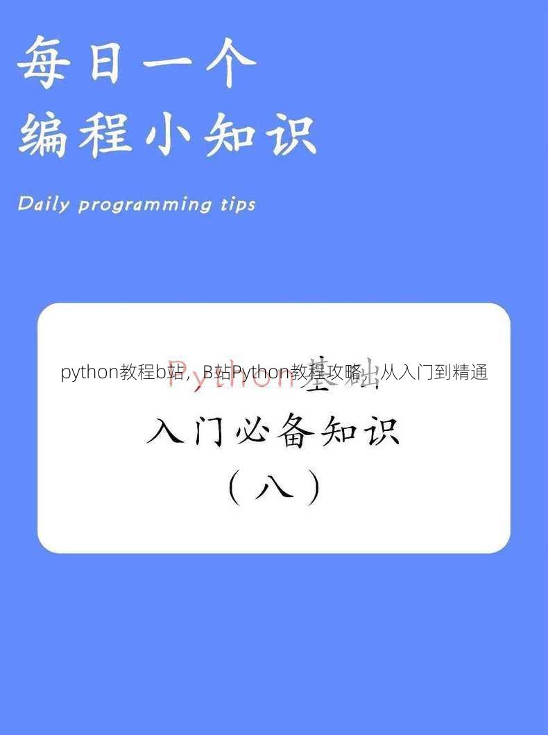 python教程b站