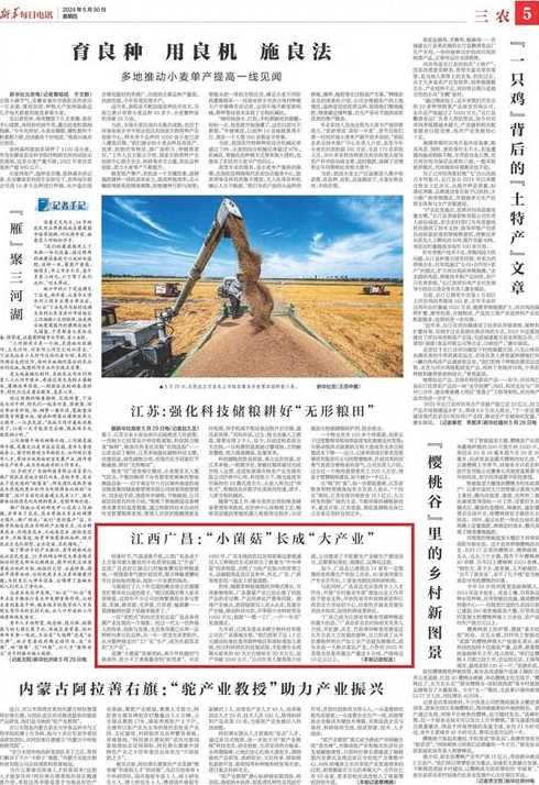 dedecms新闻模板（新闻模板图片）