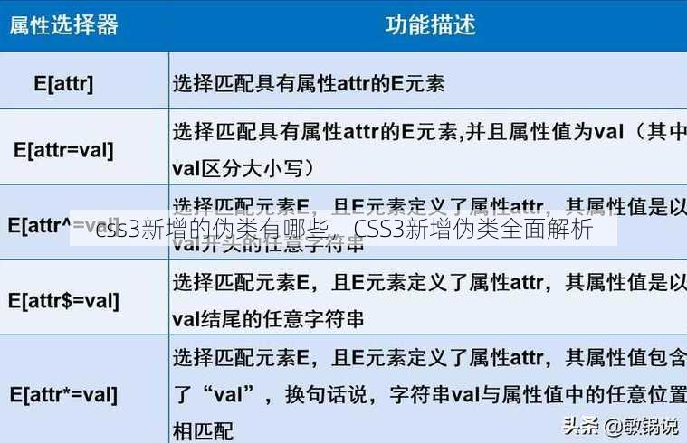 css3新增的伪类有哪些