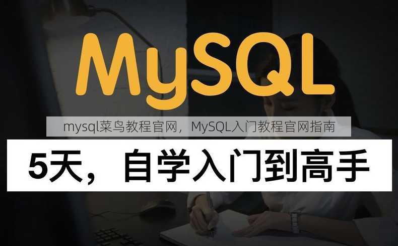 mysql菜鸟教程官网