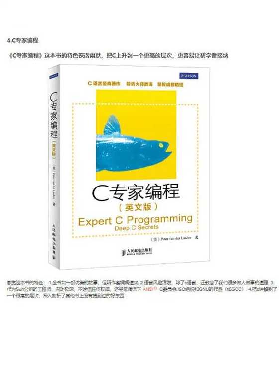 c语言入门电子书（c语言入门经典电子书）