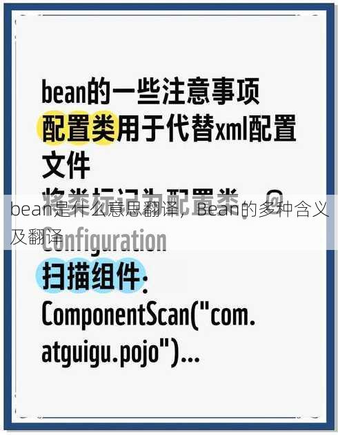 bean是什么意思翻译