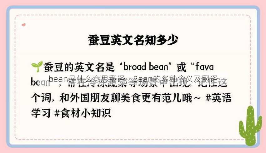 bean是什么意思翻译