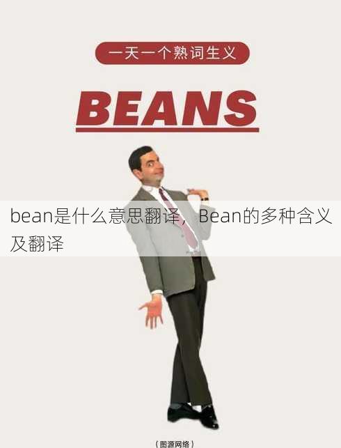 bean是什么意思翻译