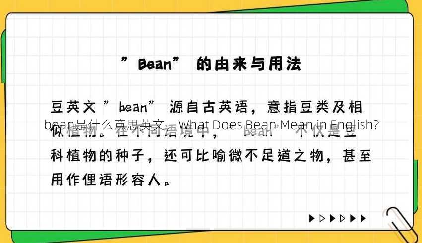 bean是什么意思英文