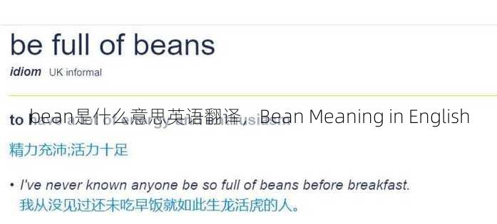 bean是什么意思英语翻译