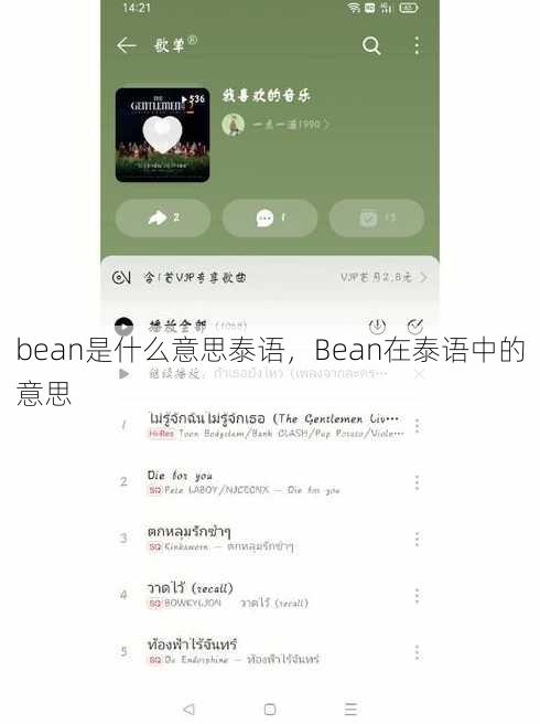 bean是什么意思泰语