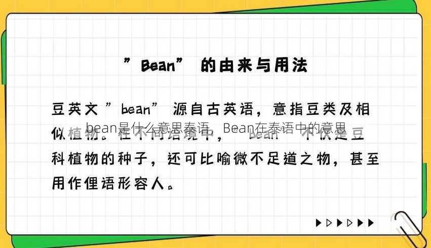 bean是什么意思泰语