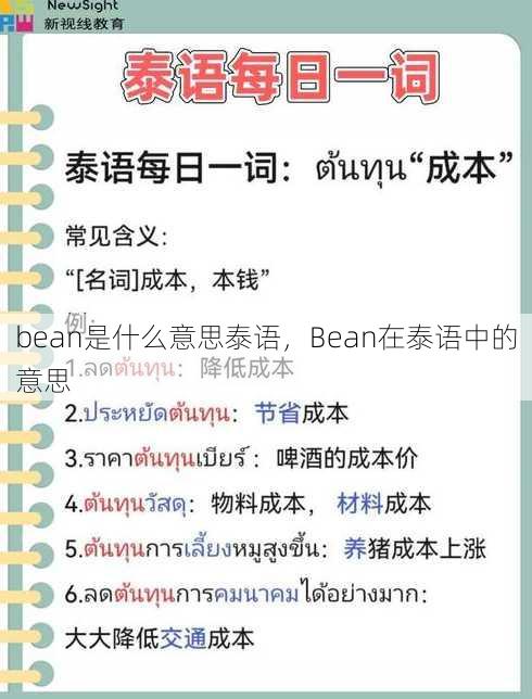 bean是什么意思泰语
