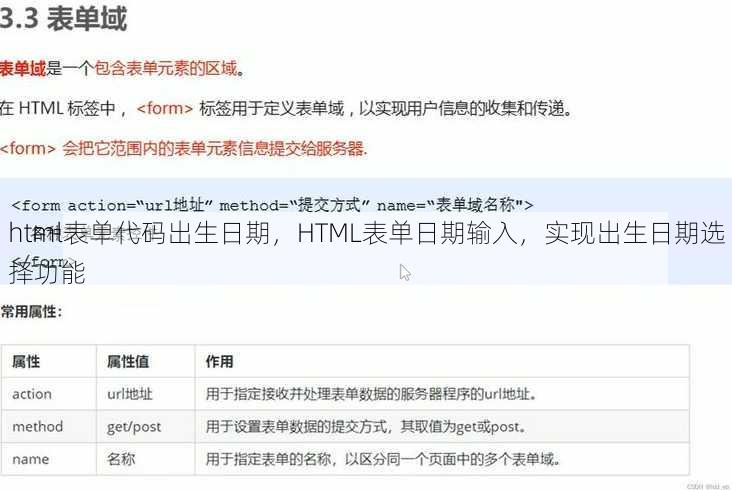 html表单代码出生日期