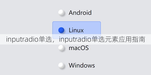 inputradio单选