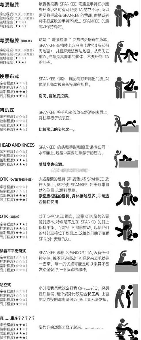 position翻译成中文（pose翻译成中文）