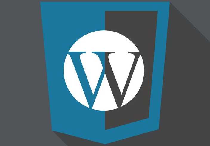 wordpress模板标签（wordpress标题）