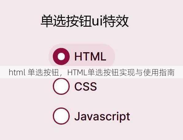 html 单选按钮