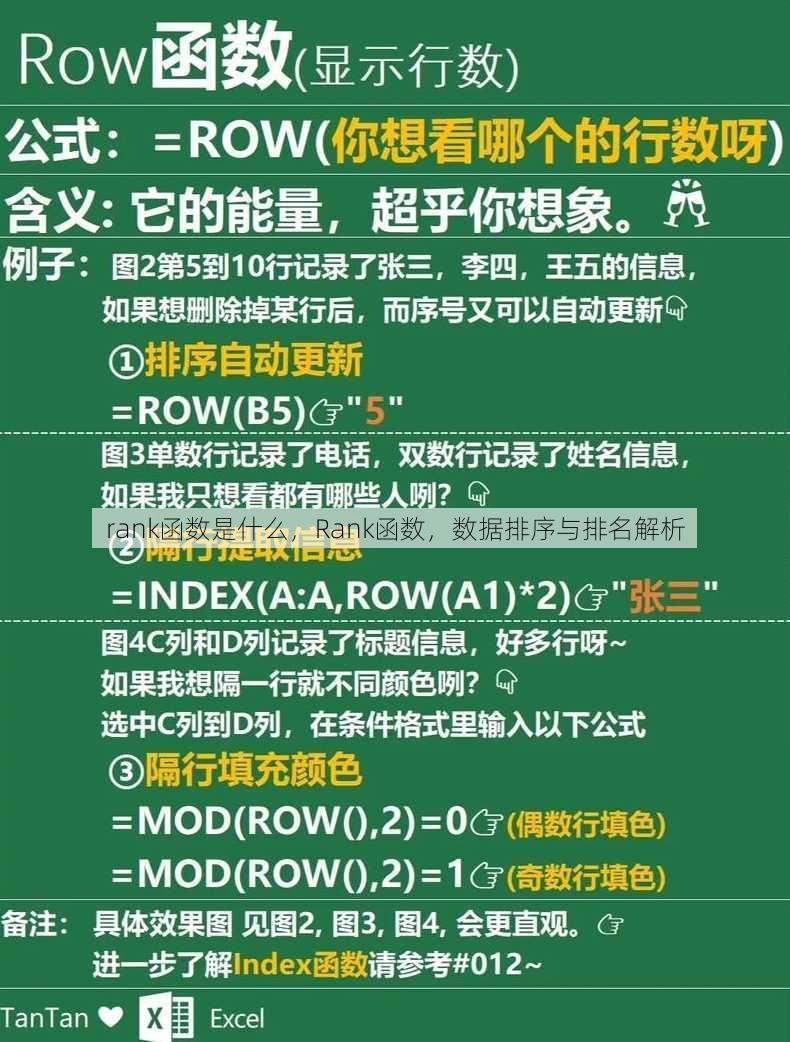 rank函数是什么