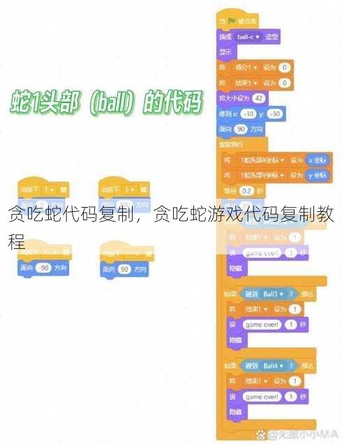 贪吃蛇代码复制
