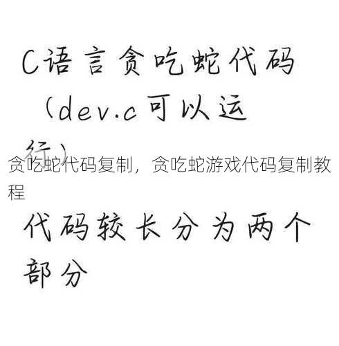 贪吃蛇代码复制