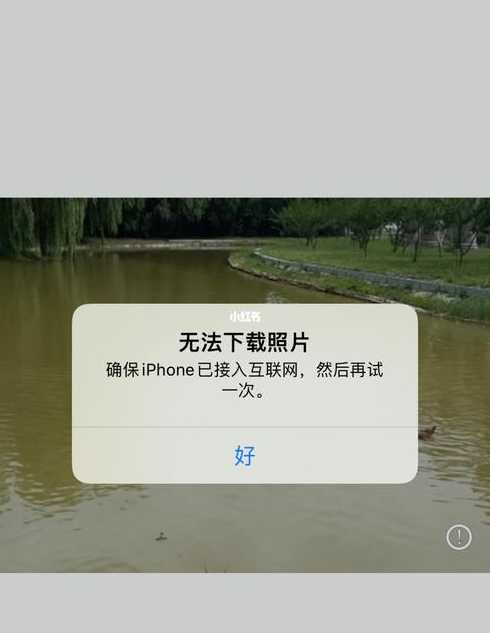 模板下载失败（无法下载模板）