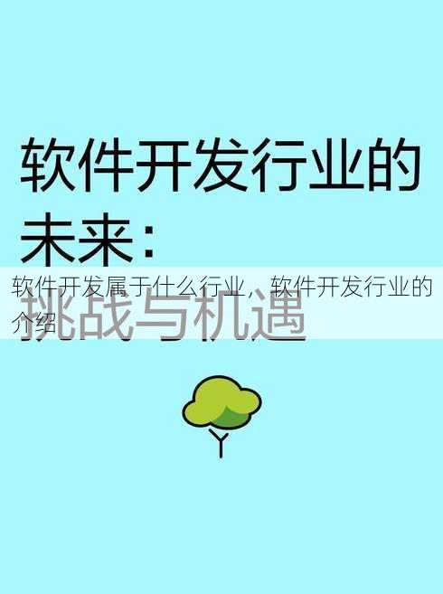 软件开发属于什么行业