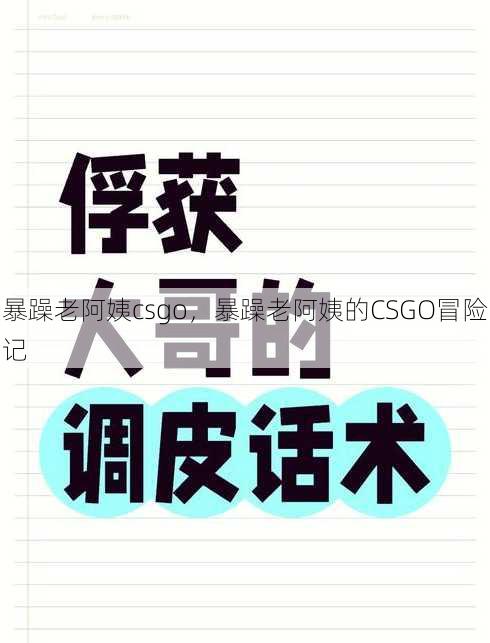 暴躁老阿姨csgo