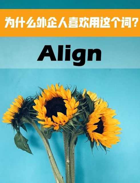 alignment中文意思（aligned什么意思中文）