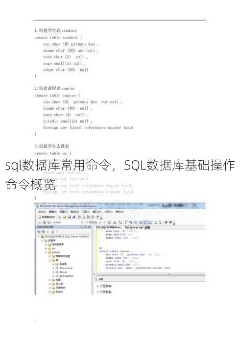 sql数据库常用命令
