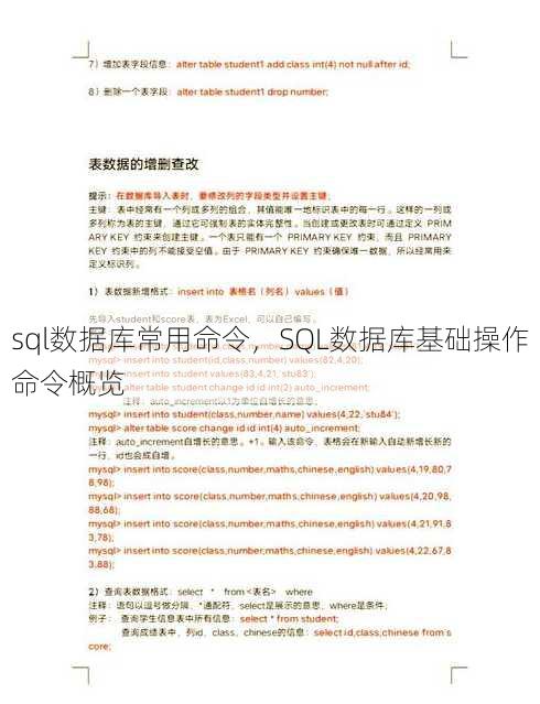 sql数据库常用命令