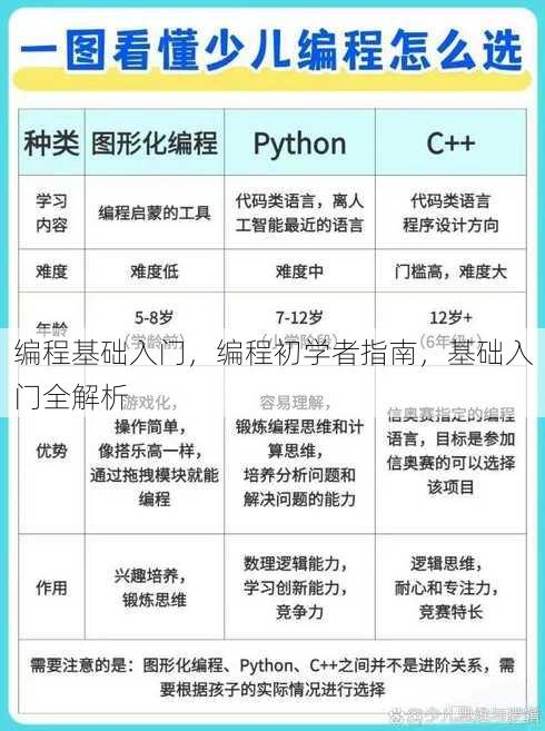 编程基础入门